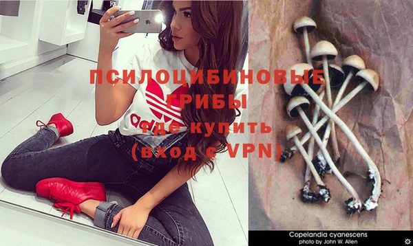 гашишное масло Магас