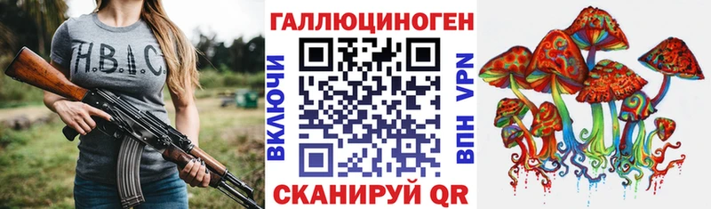 Купить  Аргун  Псилоцибиновые грибы Psilocybe 